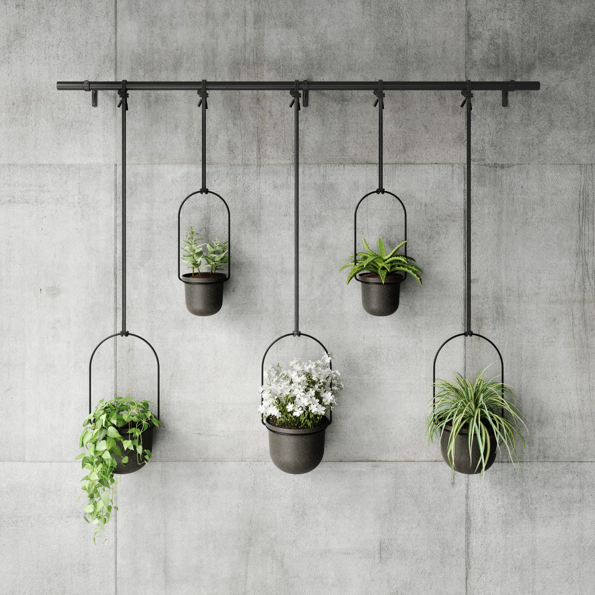UMBRA Triflora Hanging Planters, Set of 5 - Image 3