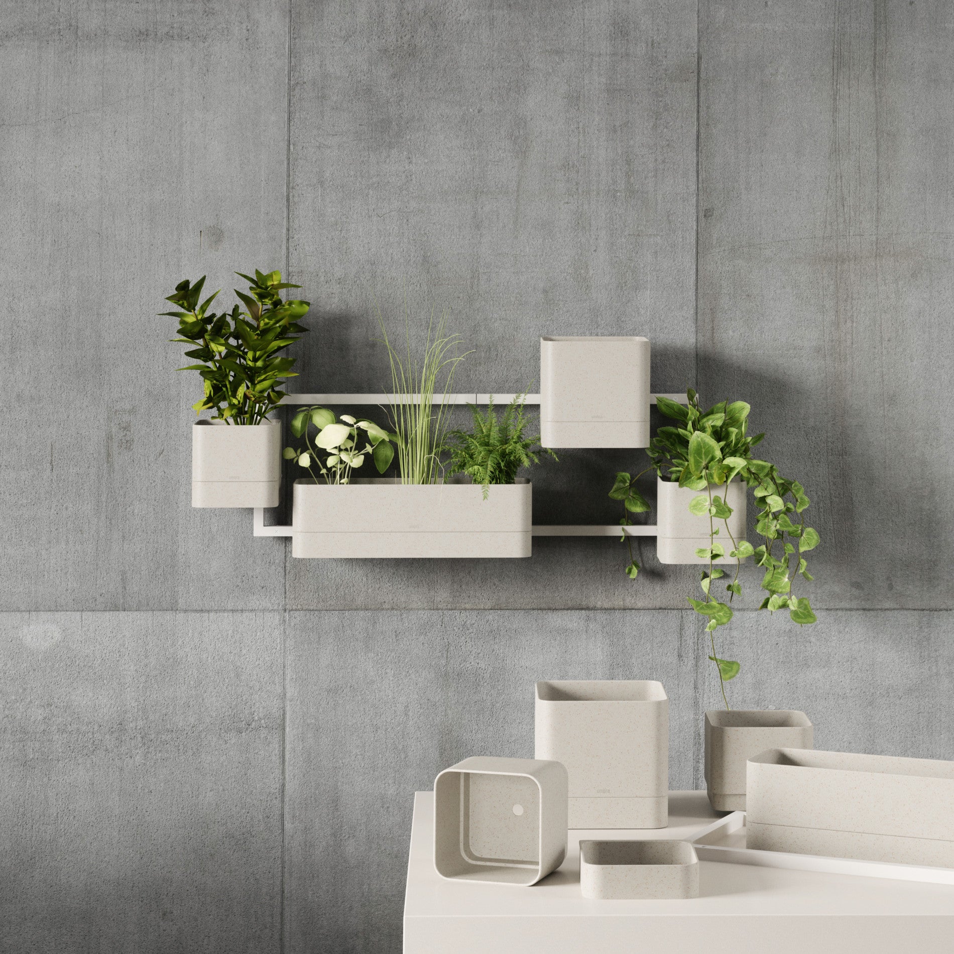 UMBRA Cubiko Wall Planter — Can - Image 10
