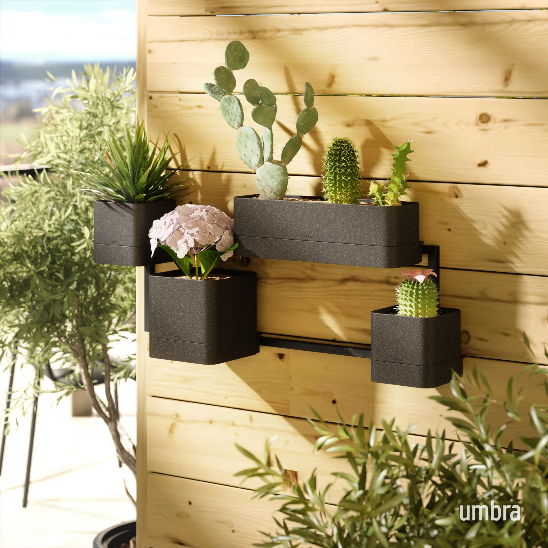 UMBRA Cubiko Wall Planter — Can - Image 4