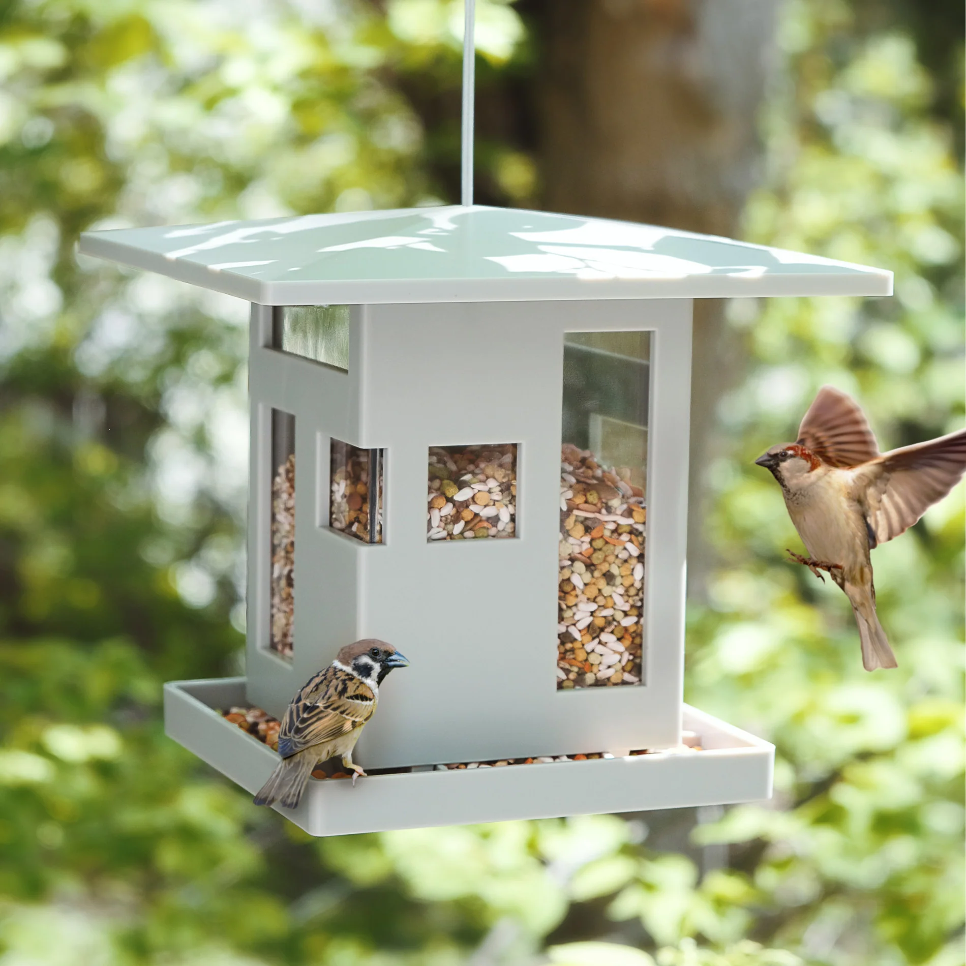 UMBRA Bird Cafe — Cube - Image 4