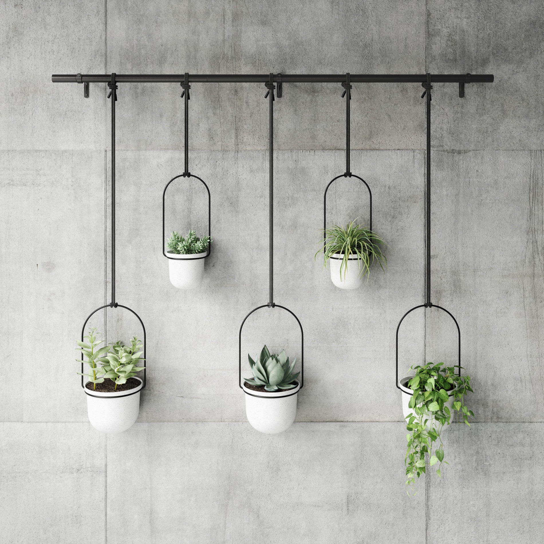 UMBRA Triflora Hanging Planters, Set of 5 - Image 8